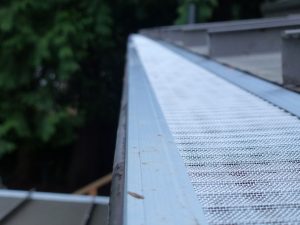 Roof and Gutter Cleaning in Renton