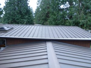 Renton, WA Gutter Cleaning