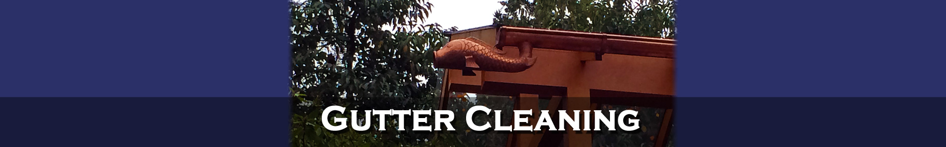 Gutter Cleaning Seattle